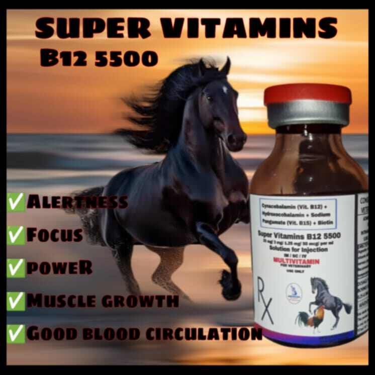 Get Troy Vitamins B12 Injection at the Best Prices Online | Lazada  Philippines