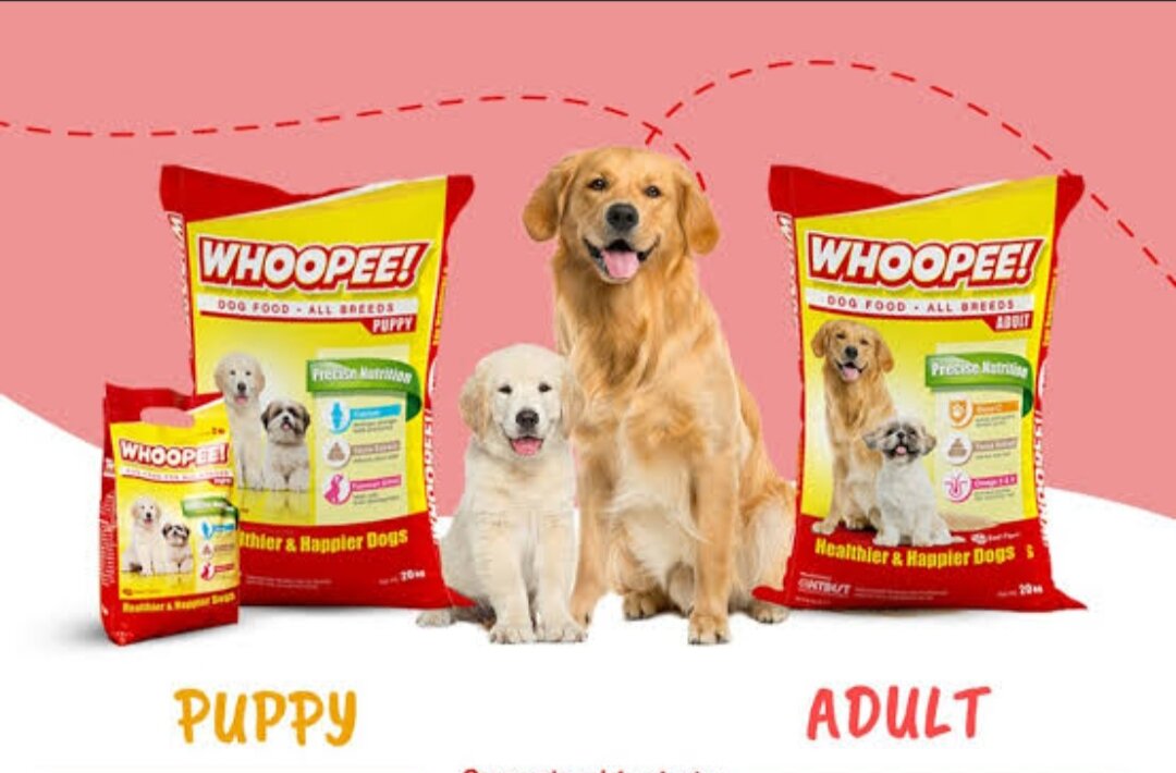 Whoopee Dog Food Adult Repacked 1Kg Lazada PH