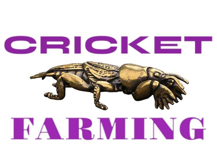 Shop online with CRICKET Farming CHOW for EXOTIC PETS now! Visit