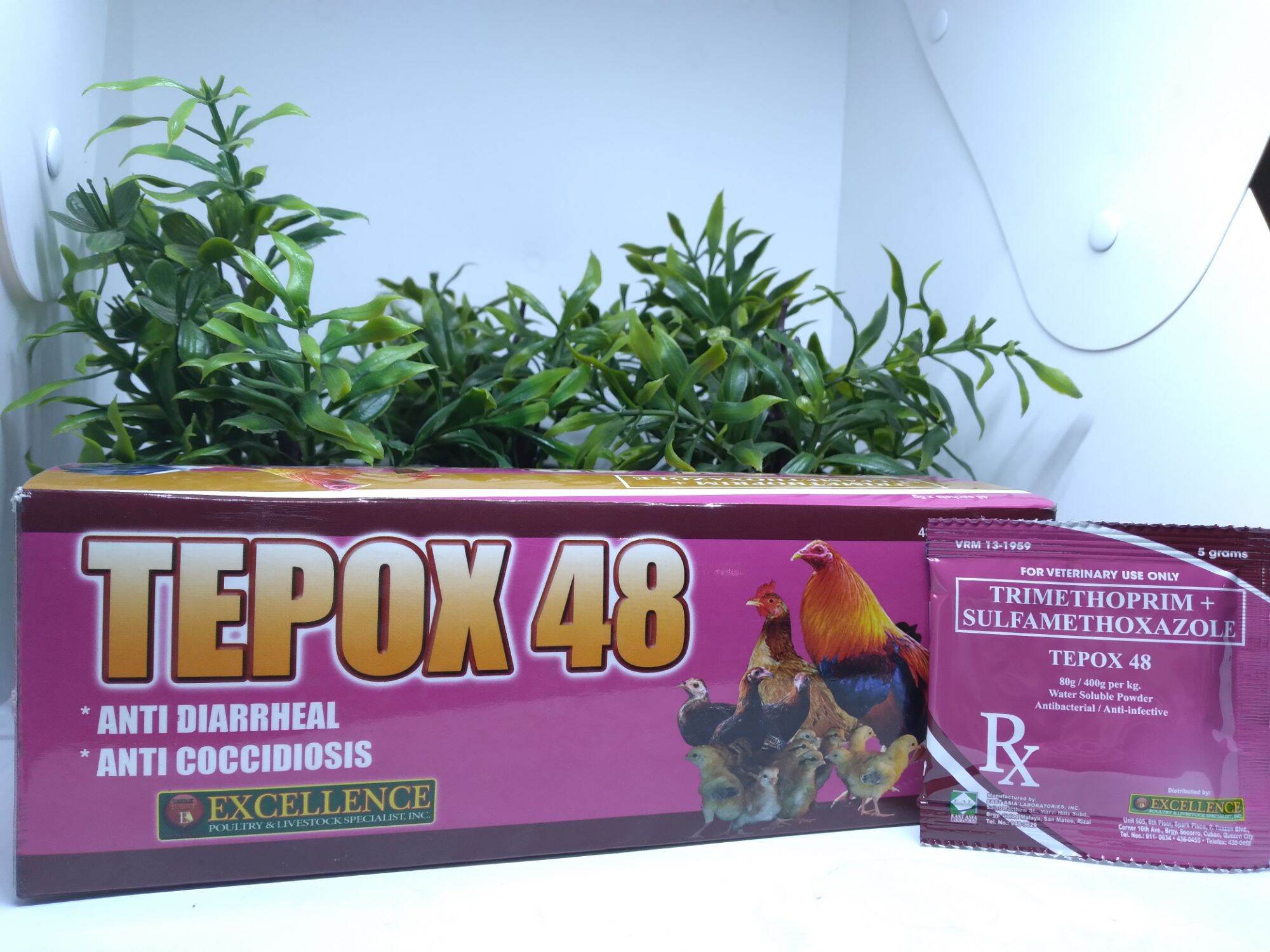 Tepox 48 Trimethoprim Sulfamethoxazole 5g Lazada PH tepox-48-trimethoprim-sulfamethoxazole-5g-lazada-ph