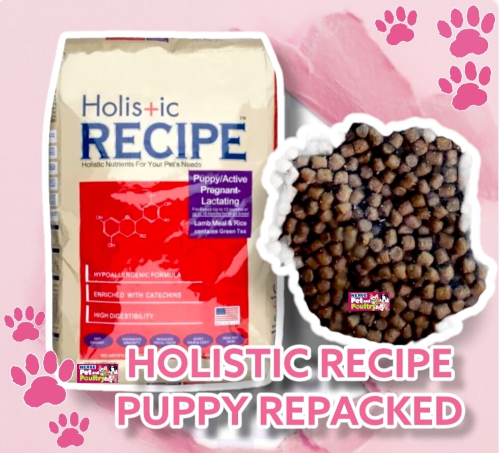 Picture of HOLISTIC PUPPY DOG FOOD 1 KG REPACKED | Lazada PH