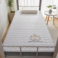 NAIYOUCHENG | Antibacterial Latex Mattress Foldable Storable