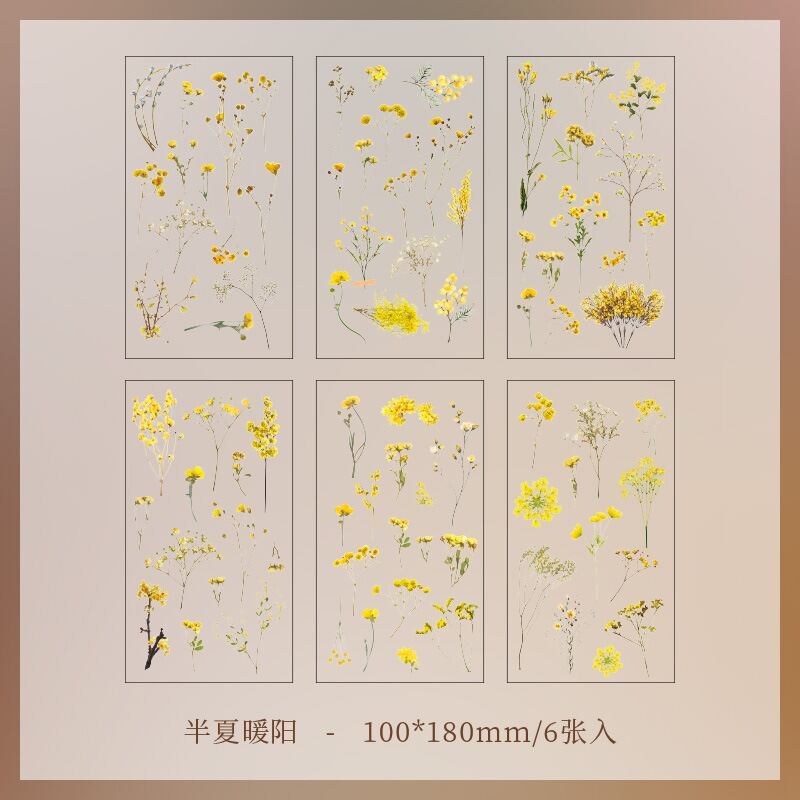 JIANQI 6pcs/pack Transparent PET Stickers Scrapbooking Materials DIY Junk Journal Collage Floral Leaves Plants Decor Stickers
