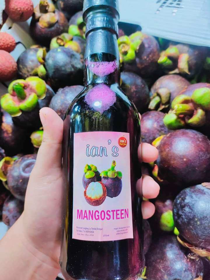 IAN'S MANGOSTEEN FRUIT WINE 4%ALCOHOL CONTENT | Lazada PH