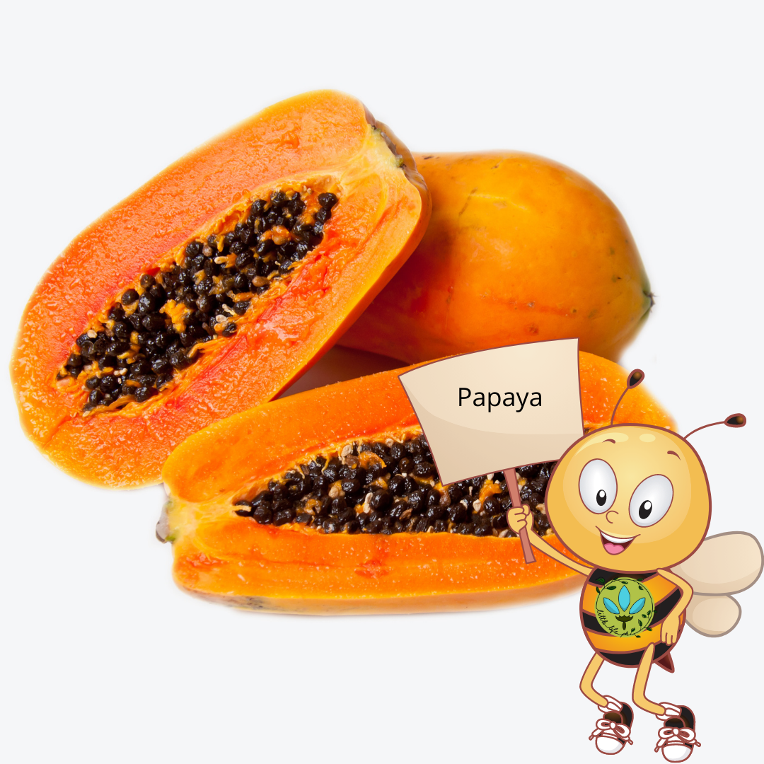 binhi-pantanim-sweet-papaya-gulay-prutas-lazada-ph