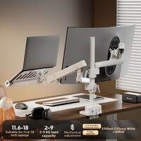 Brateck | Dual Screen Monitor Stand Arm Adjustable Display Support