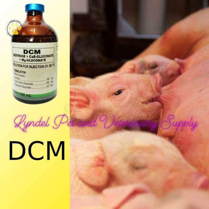 DCM calcium injectable 100ml | Lazada PH