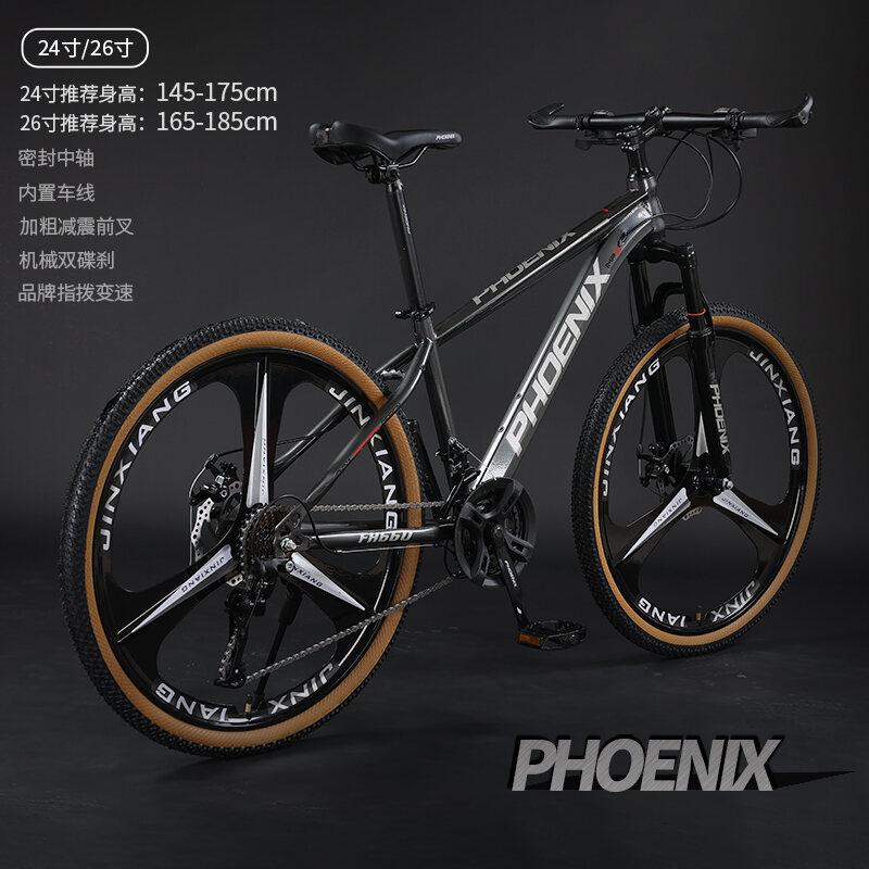 Phoenix Mountain Bike for Men and Women Adult Riding 24Inch 26 Double