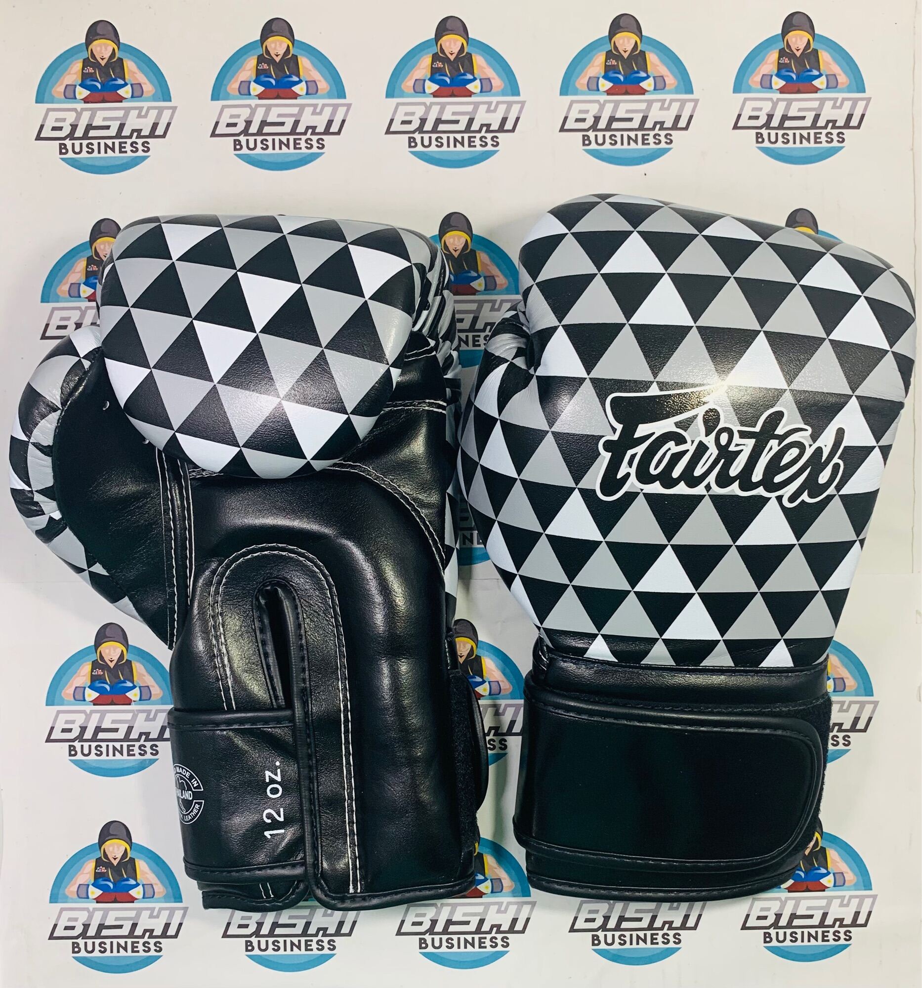 FAIRTEX Boxing Gloves BGV14 “Painter” (Korean)