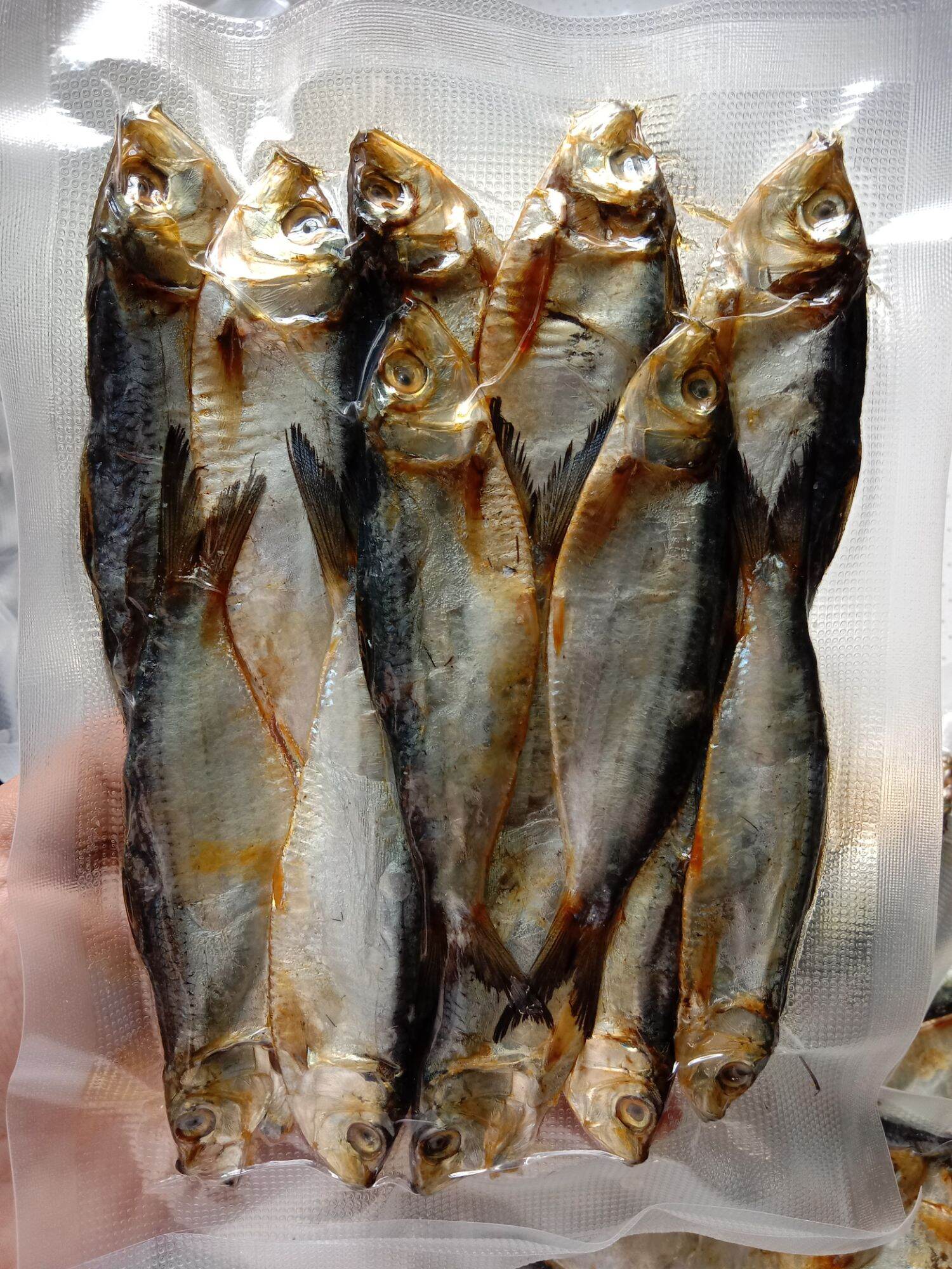 VACUUM SEALED DRIED TUYO 160 grams Lazada PH