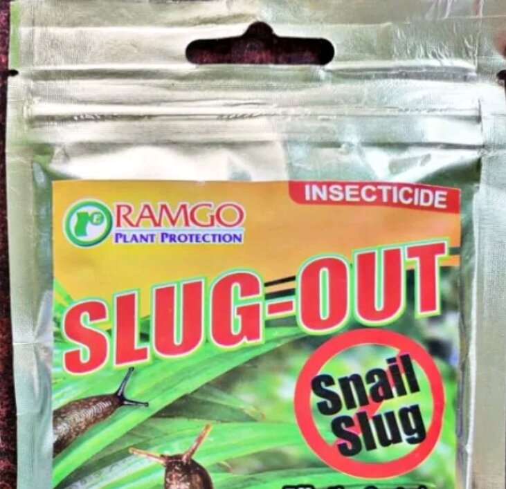 SLUG-OUT SNAIL/SLUG METALDEHYDE INSECTICIDE (100 GRAMS) by RAMGO. 