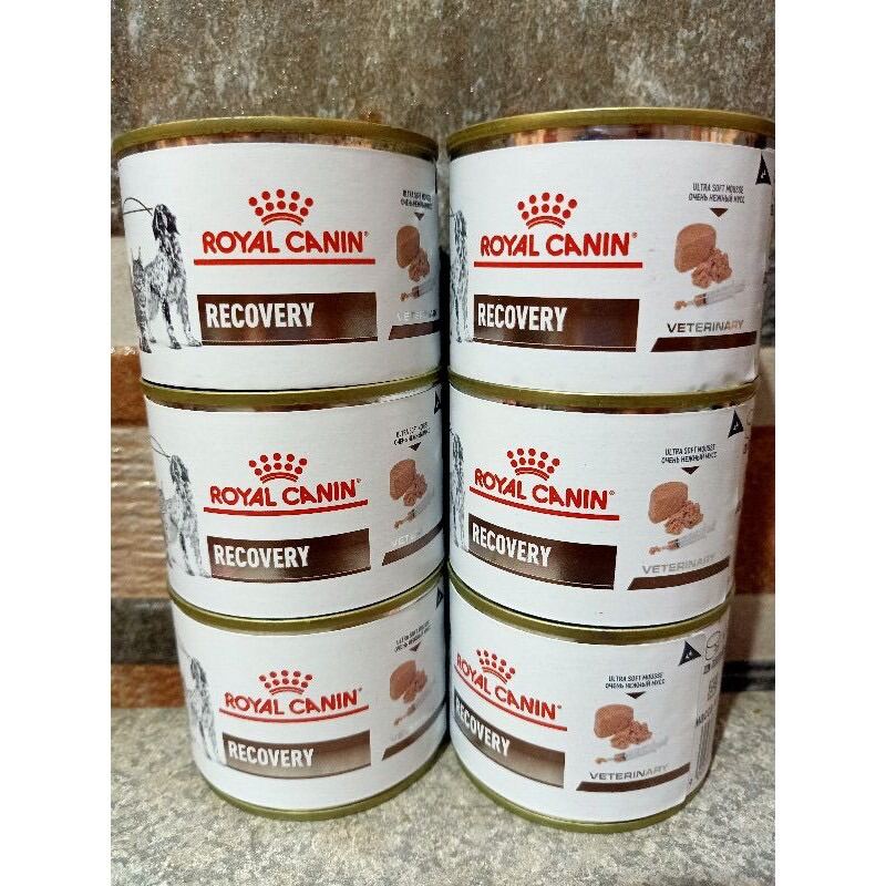 Recovery Royal Canin 195g