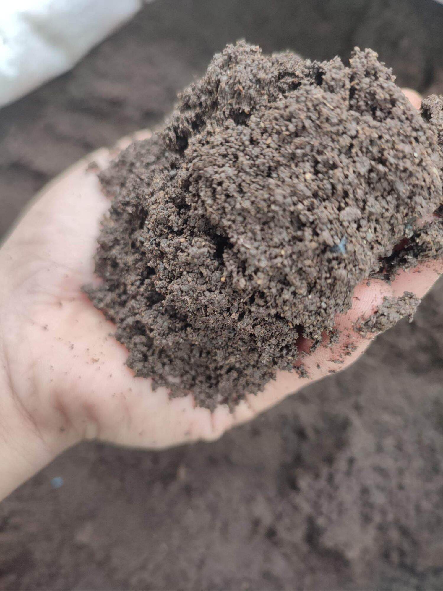 Lovely Garden's Vermicast 1 kilos its a Organic Garden Soil Fertilizer