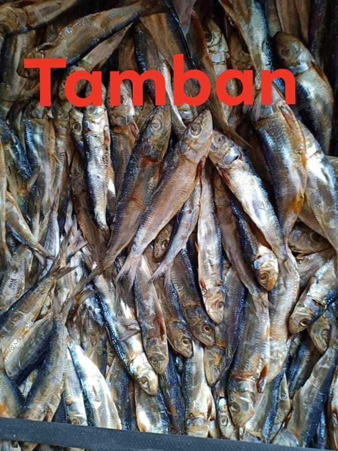 Dried Tuyo Tamban / 1 KILO | Lazada PH