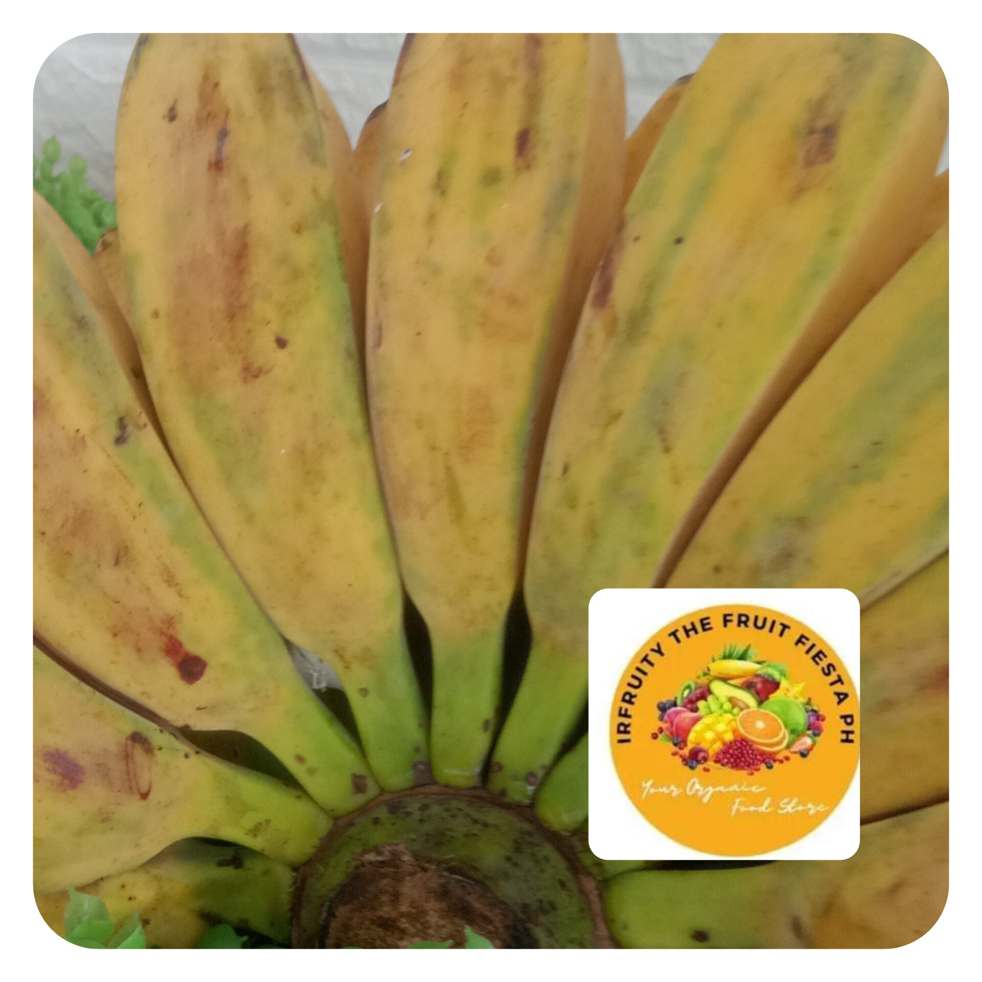 Saba Banana 140 for 2kilos Fresh from the farm ₱70 per kilo Lazada PH