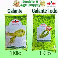 Galante / Galante Todo Sitao / Sitaw / Yard Long Bean - East West Seed