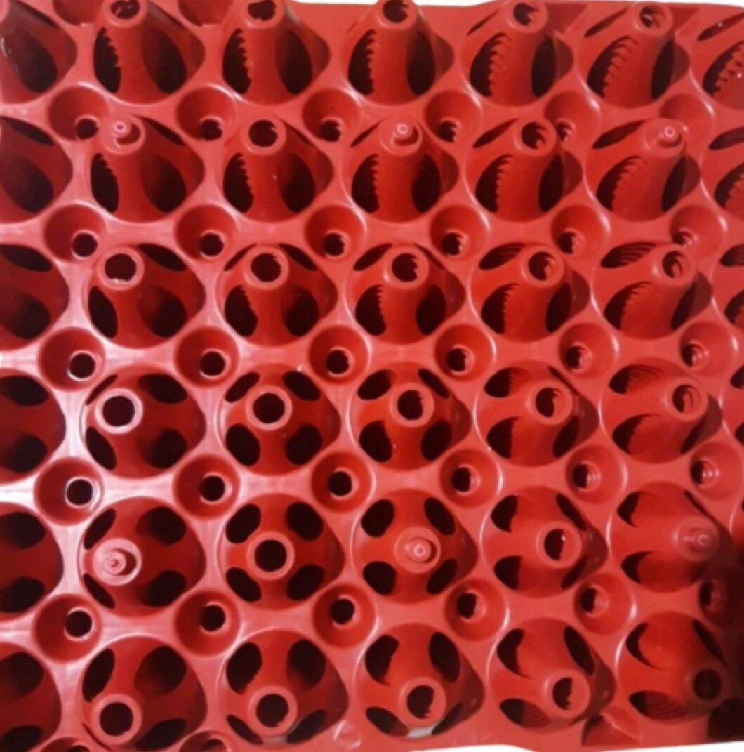 Moolah88 SL Heavy Duty Plastic Egg Tray (5 Plus 1 ) ( P118 Only