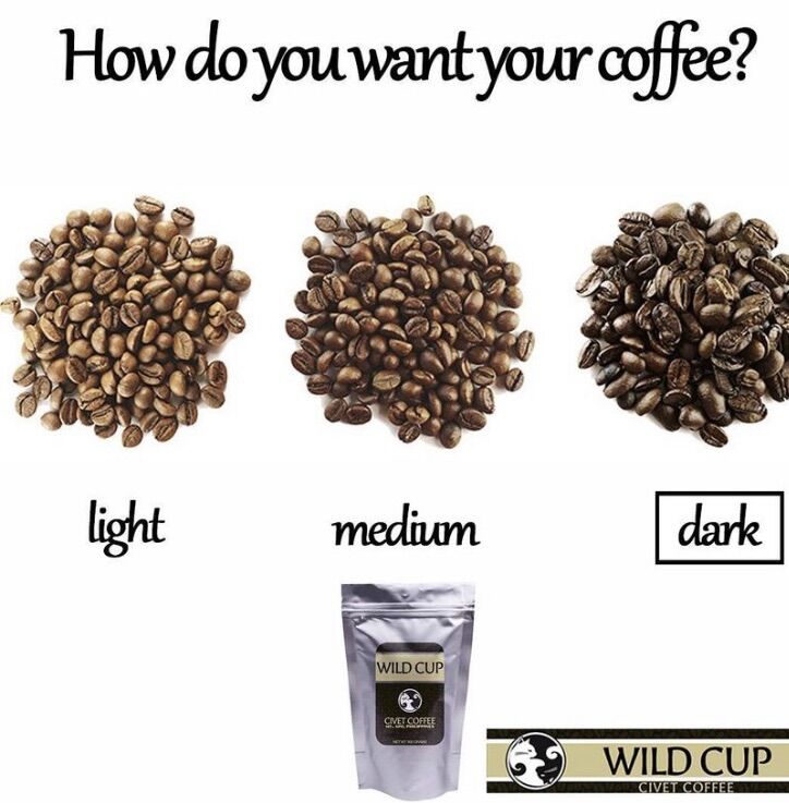 ALAMID Philippine Civet Coffee 100g Alamid | Philippine Civet