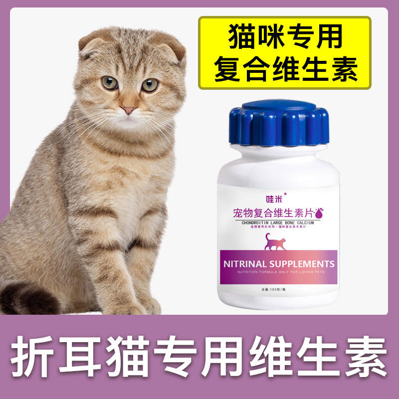 Scottish Fold Cat Special Multivitamin Tablet Pet Supplement into