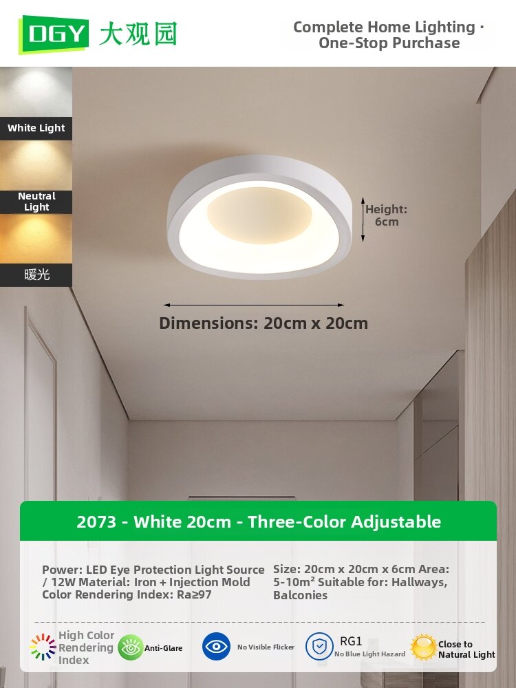 DGY | Modern Minimalist Corridor Ceiling Light