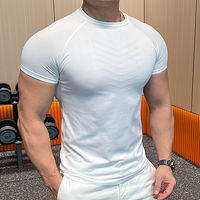 Ultimatesupport | Seamless Embroidered Quick-Drying Stretch Fitted Mens Training Running T-Shirt