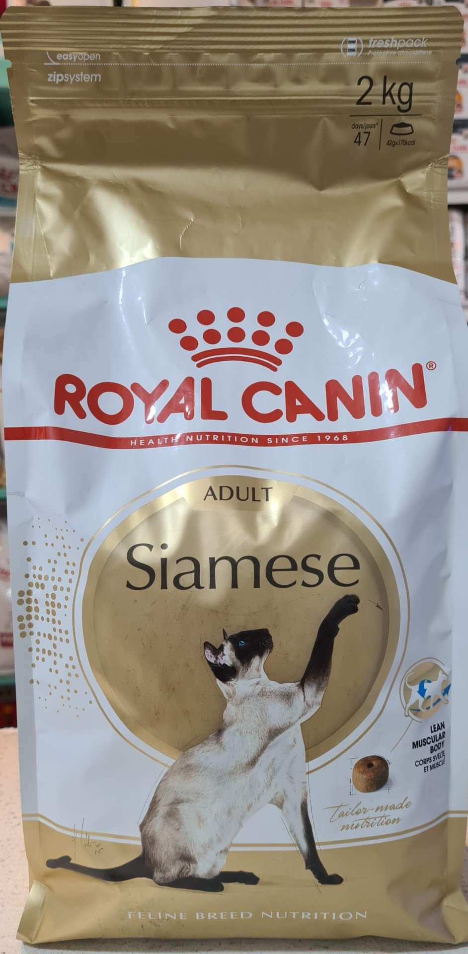 Royal canin clearance siamese adult