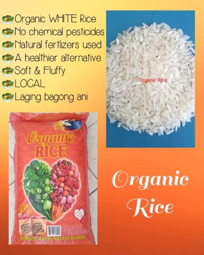 Organic Rice (25kg) | Lazada PH