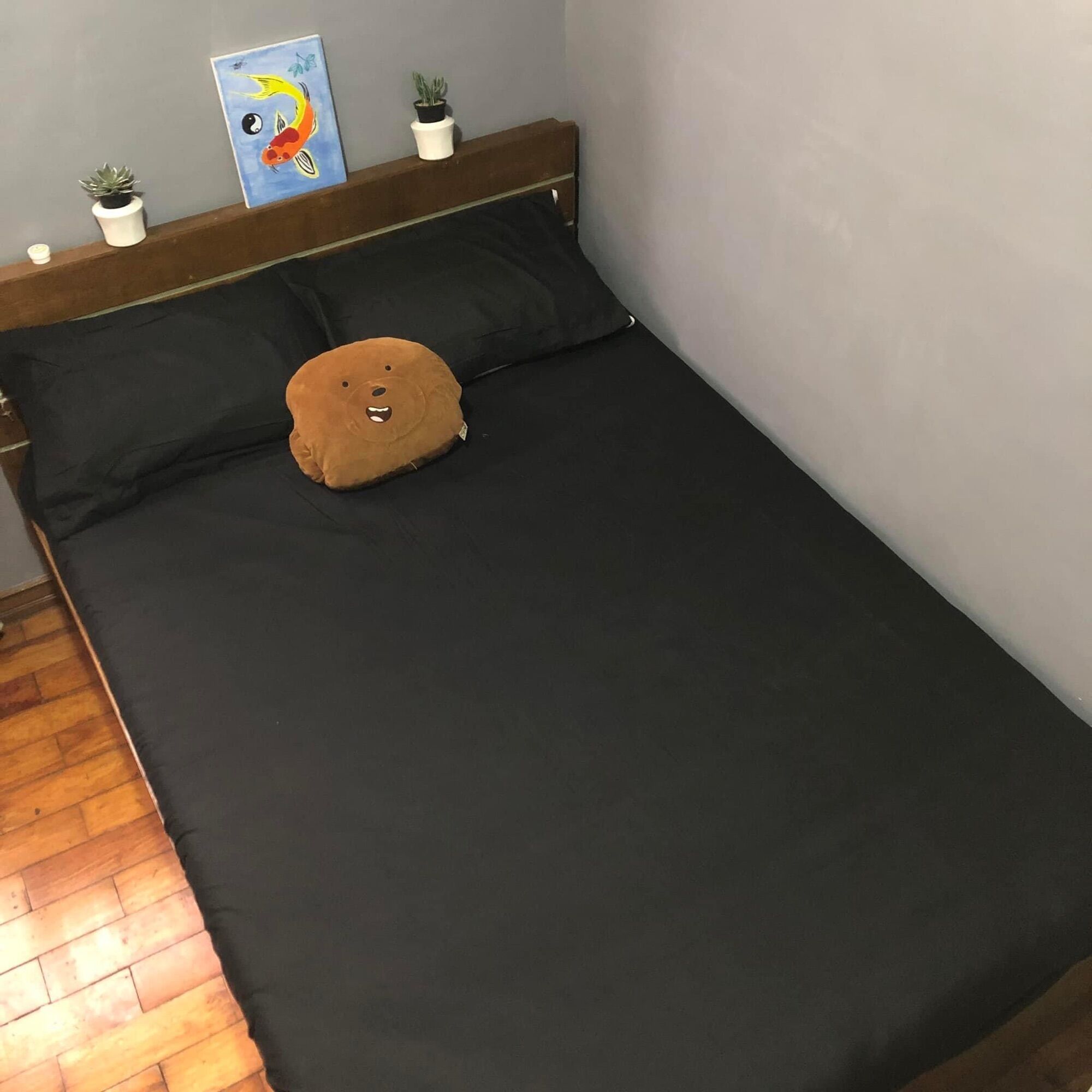 (LECO 3IN1) Plain Black BEDSHEET FULLY GARTERIZED CANADIAN COTTON