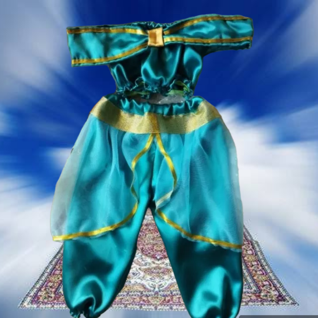 Disney Princess Jasmine Aladdin Costume Baby Milestone Cropped Top and  Pants 6-12months
