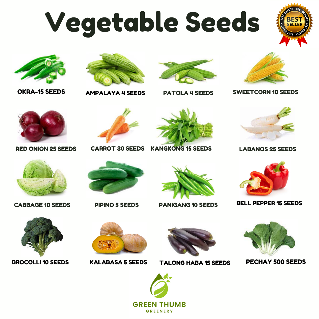 VEGETABLE SEEDS / HIGH QUALITY