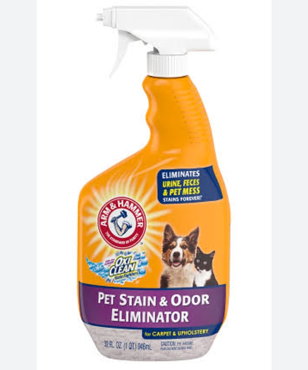 Arm & Hammer Pet Stain & Odor Remover Plus Oxiclean, 32 fl oz Lazada PH