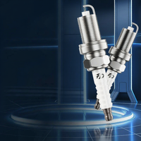 Fei Hun | For Multiple Peugeot Models Double Iridium Spark Plugs