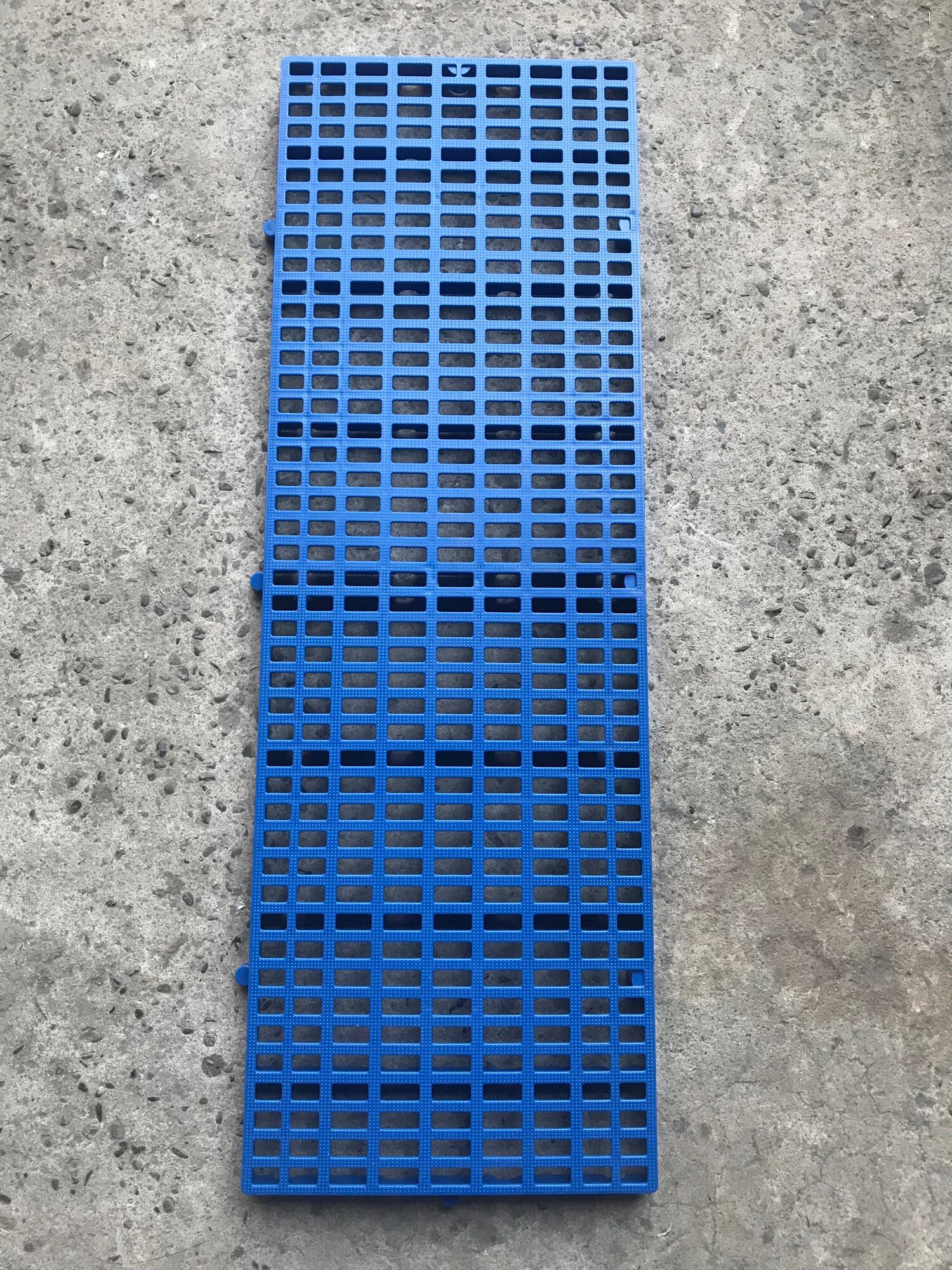 Dog Matting Heavy Duty 1ft x 3ft Lazada PH