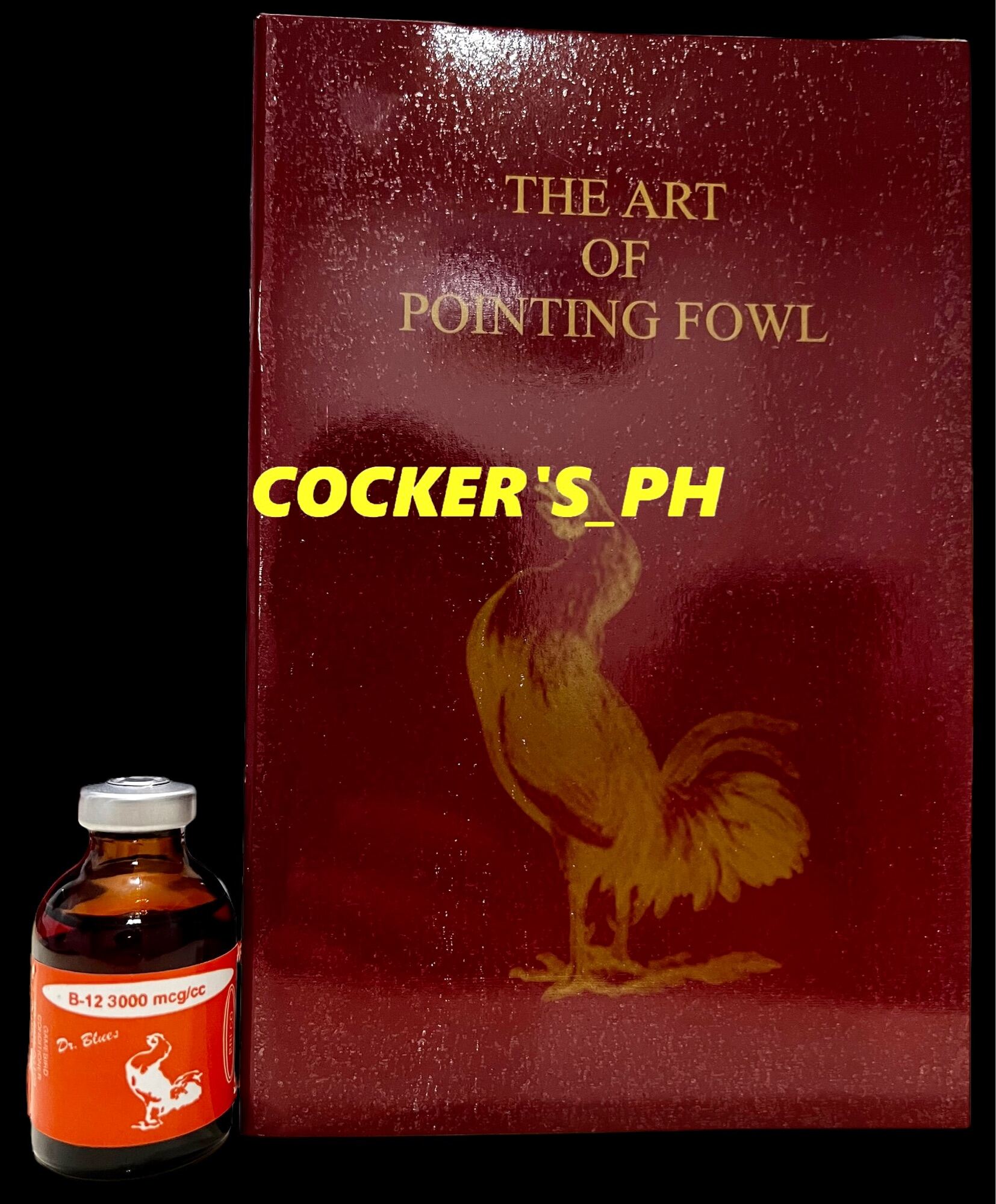 Dr Blues B12 3000mcg 30ml “FREE” ( The Art of Pointing Fowl ) Lazada PH