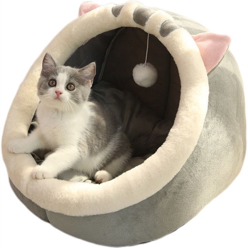 Lazada 2025 cat bed