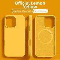 Orange shine | Liquid Silicone Shockproof Full Coverage iPhone 16 Pro Max Case with Magnet