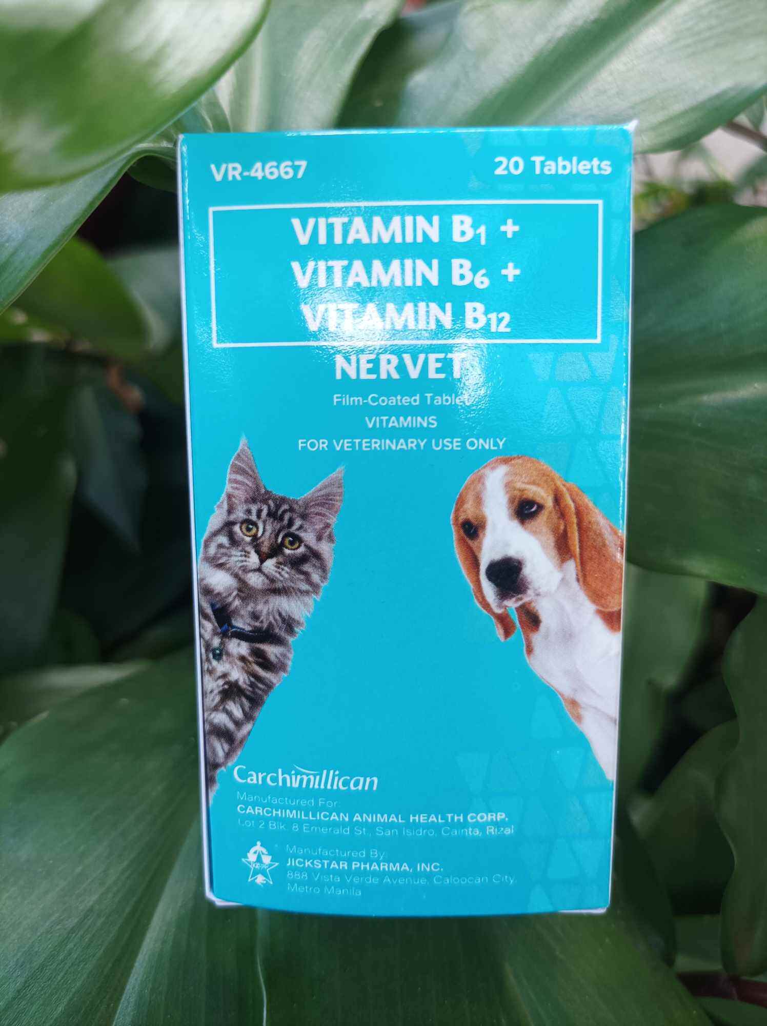 NERVET Vitamin B1 B6 B12 Film coated tablet for cats dogs 20tablets Lazada PH