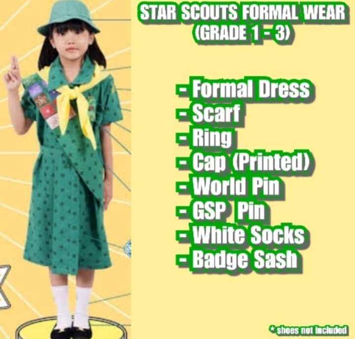 Star Scout Activities In School Philippines