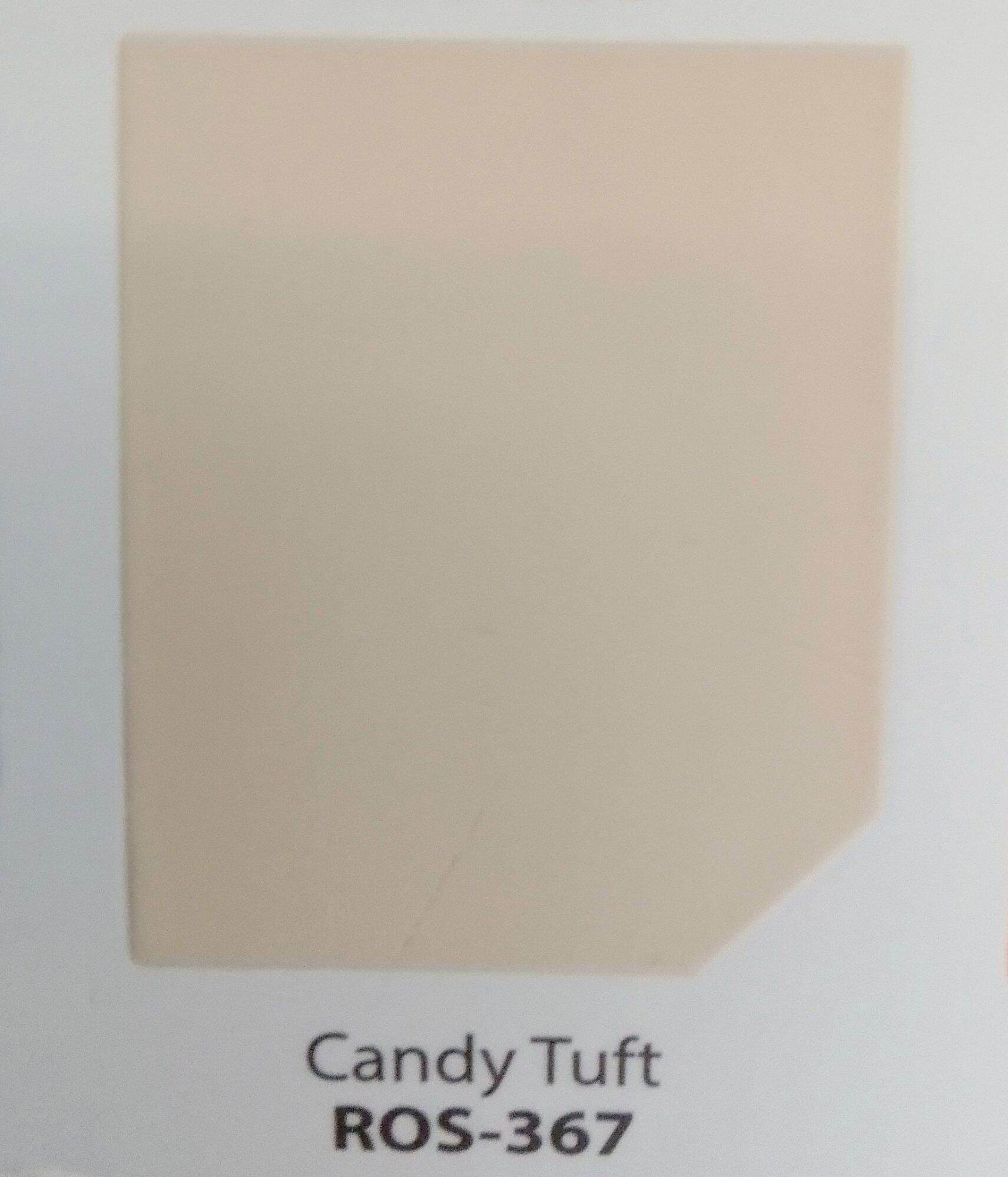 RAIN OR SHINE ELASTOMERIC WATERPROOFING PAINT LITER WALANG AMOY NA