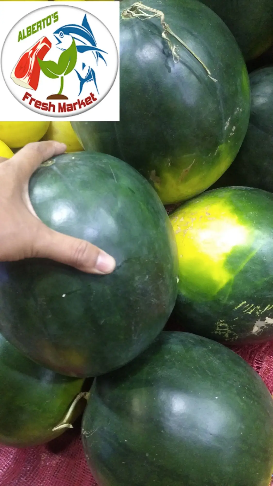 Fresh Water Melon (Pakwan) 1pc