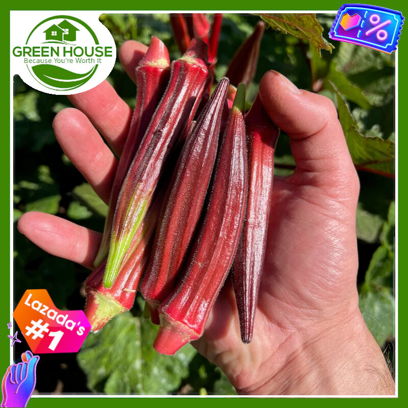 Green House® Red Okra Seeds with Planting Instructions