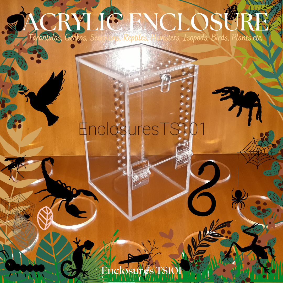 Acrylic Enclosure Box Cage for Tarantula, Isopods, Beetles, Gecko ...
