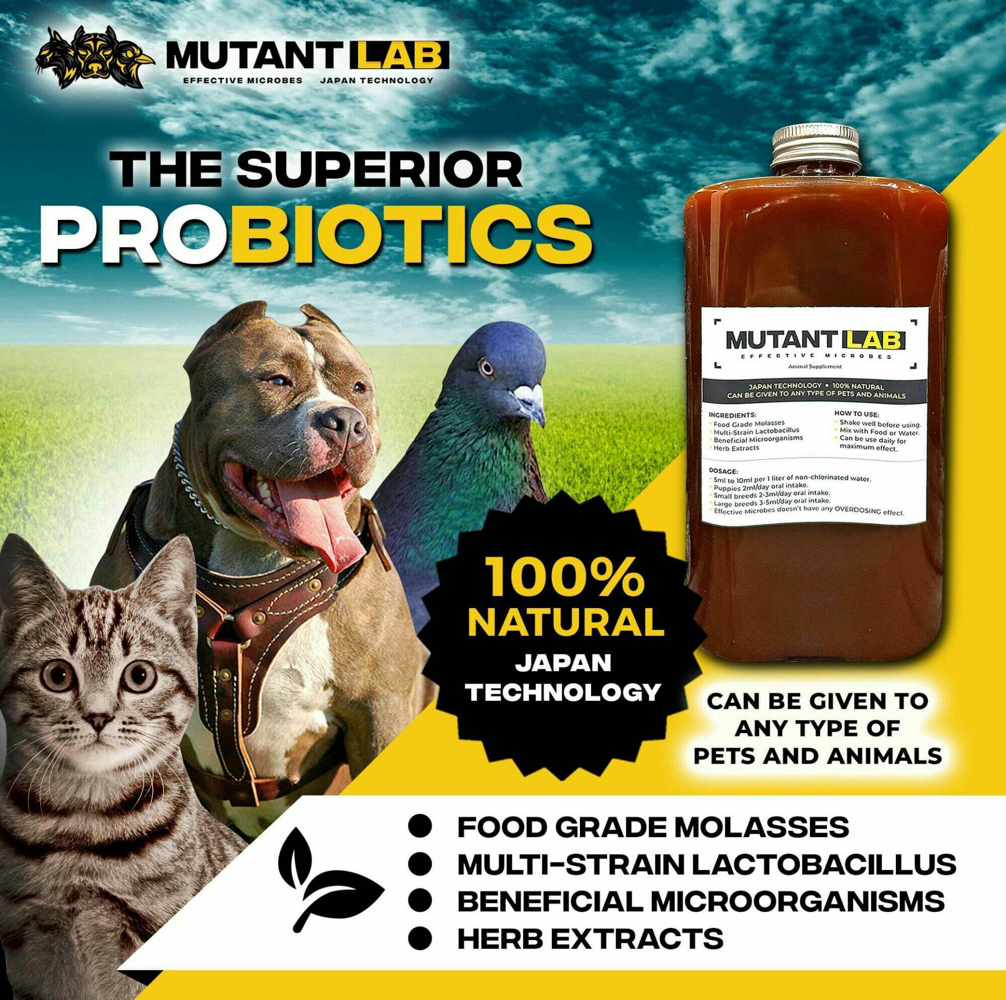 Shop at Fantastic Pets with great deals online