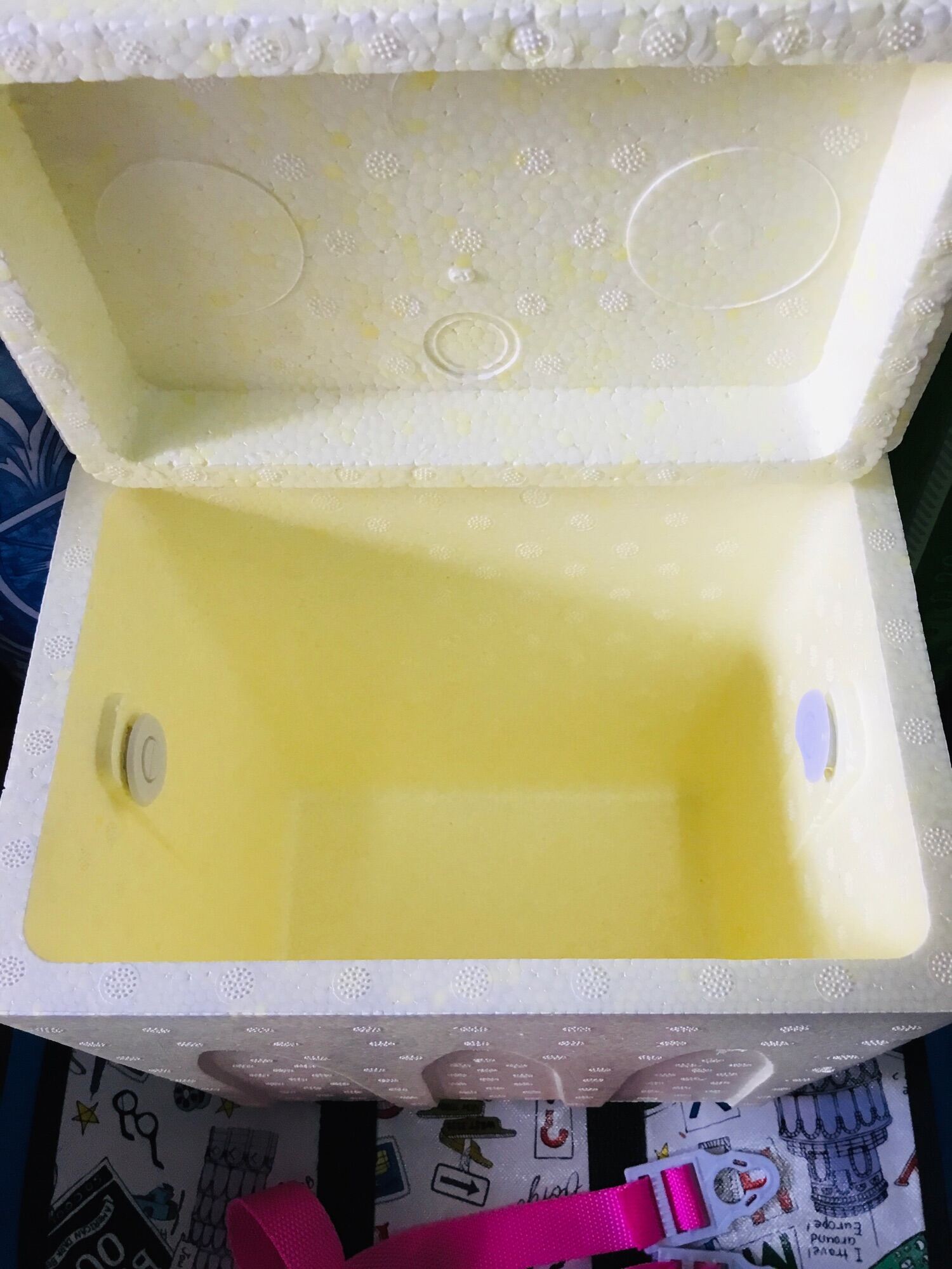 STYRO BOX COOLER POLAR BOX Lazada PH