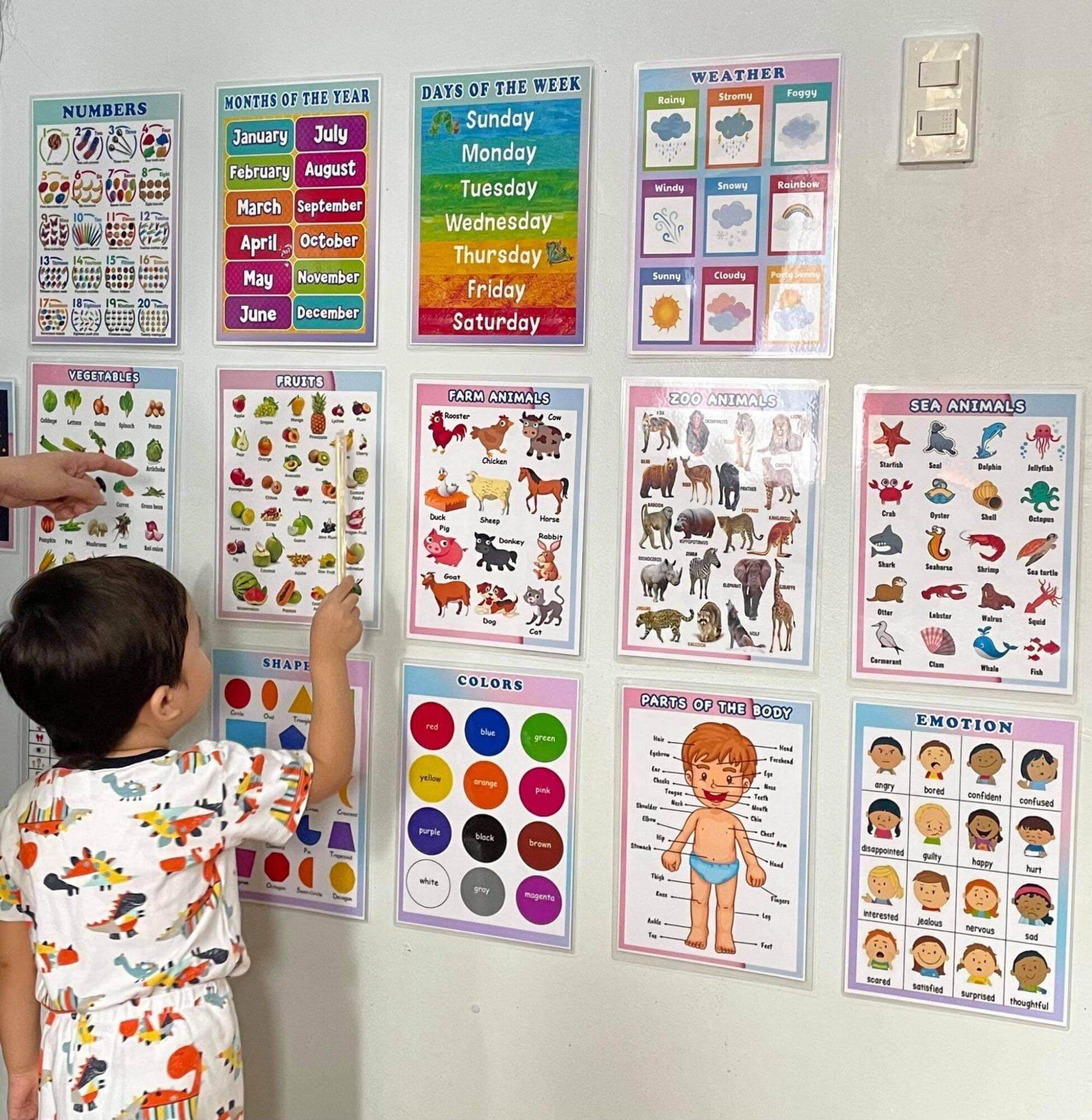 Learning Education Chart (laminated A4 size) | Lazada PH