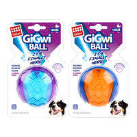 Gigwi | Entertainment Squeaky Teething Toy Ball