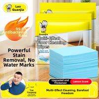 Multi-Effect Powerful Stain Removal Floor Cleaning Sheets