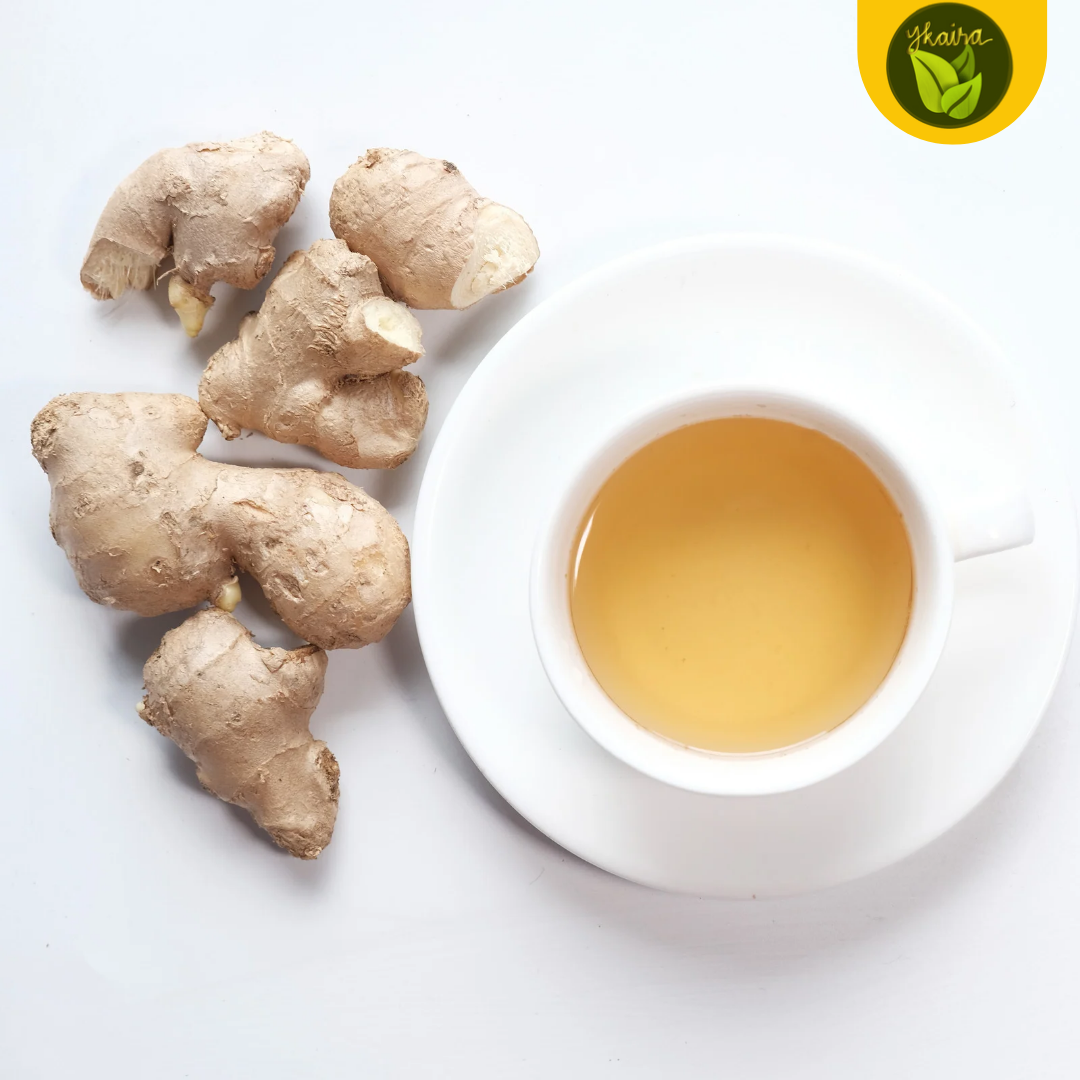 Luya Ginger Bulb Seeds 1 pc. for Planting Herb. 