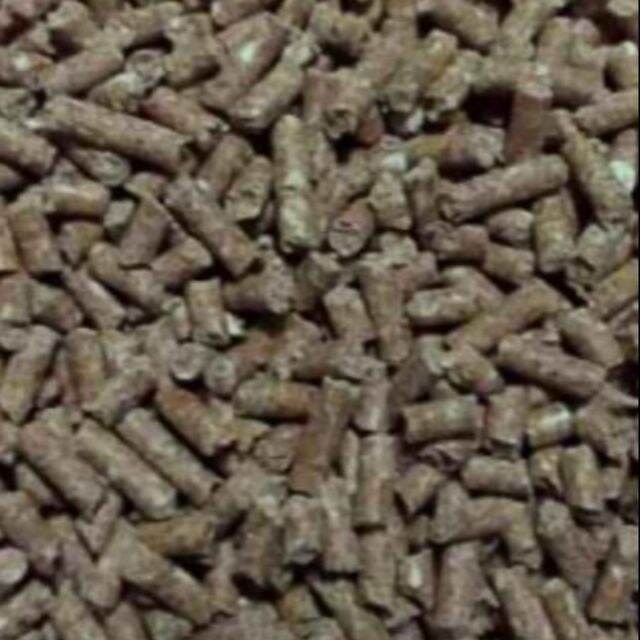 gmp3 feeds for rabbit