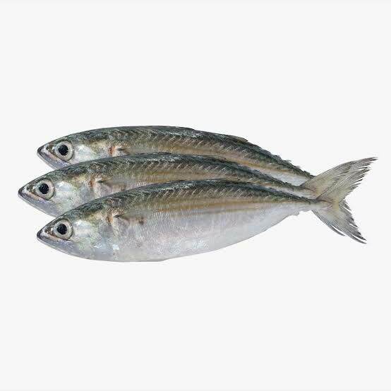 FRESH SEAFOOD HASA HASA 1Kg Lazada PH